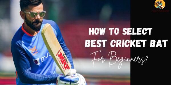 How To Select the Best Cricket Bat for Beginners?